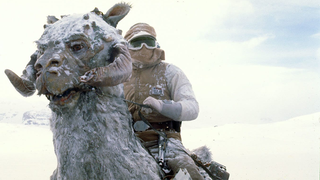 You're Not Meant to Capitalize <i>Star Wars</i>' 'tauntaun'—and There's a Suitably Weird Reason Why